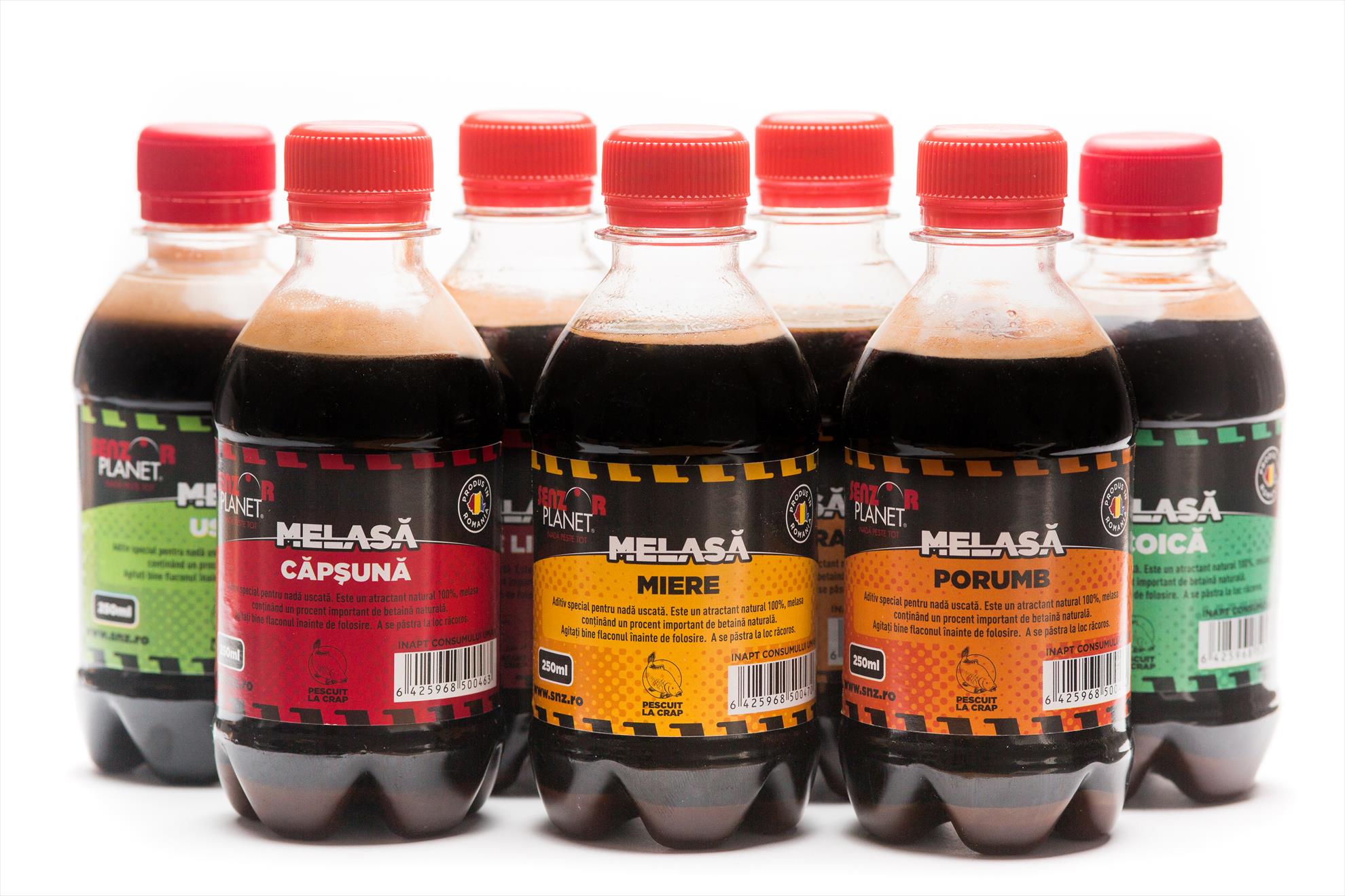 MELASA SENZOR PLANET 2017 - ms6a3529.jpg